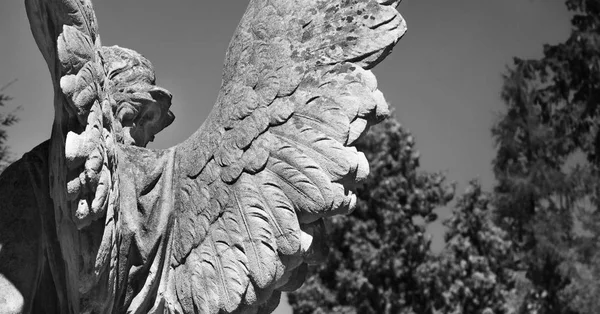 Alas Ángel Muerte Como Símbolo Del Fin Vida Estatua Antigua —  Fotos de Stock