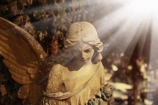 Wonderful Angel Rays Sun Architecture Statue Archetype Religion Faith — Stock Photo, Image