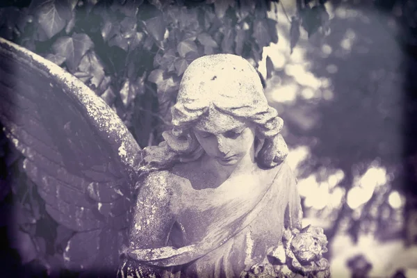 Vintage Image Sad Angel Cemetery Background Leaves Details — Stock Photo, Image
