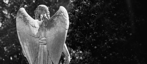 Zadní Pohled Anděla Smrti Jako Symbol Života Antické Sochy Náboženství — Stock fotografie
