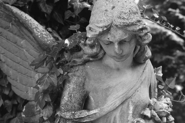 Image Vintage Ange Triste Sur Cimetière Sur Fond Feuilles Détails — Photo