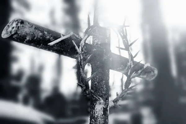 Crucifixion Jésus Christ Croix Épines Foi Religion Mort Résurrection Concept — Photo