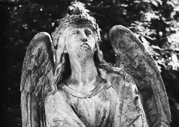 天使石头雕像在叶子的背景下 — 图库照片