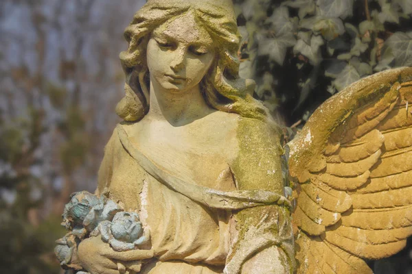 Винтажное Изображение Грустного Ангела Кладбище Фоне Листьев Детали — стоковое фото