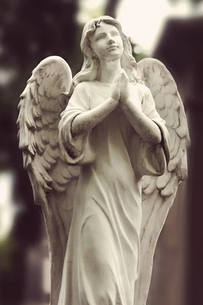 Винтажное Изображение Грустного Ангела Кладбище Фоне Листьев Детали — стоковое фото