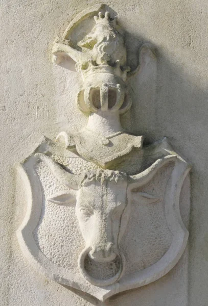 Escudo Armas Medieval Con Leones — Foto de Stock