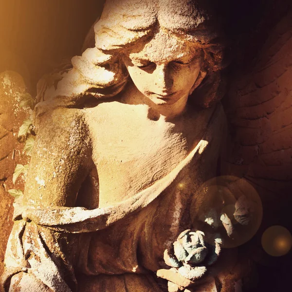 angel in the sunlight (antique statue)