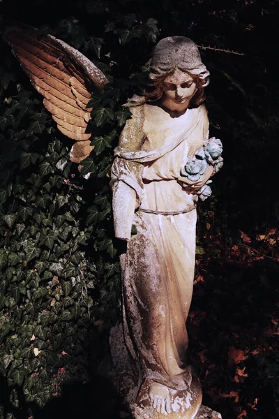 Antigua Estatua Ángel Sombra Arbusto Sombras Oscuras Profundas Religión Eternidad —  Fotos de Stock