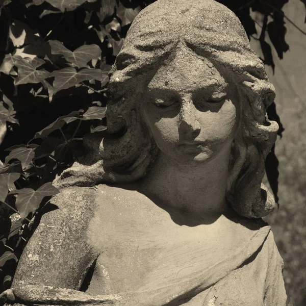 Imagen Vintage Ángel Triste Cementerio Sobre Fondo Las Hojas Detalles — Foto de Stock