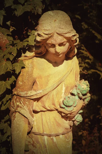 Ange Dans Lumière Soleil Statue Antique — Photo