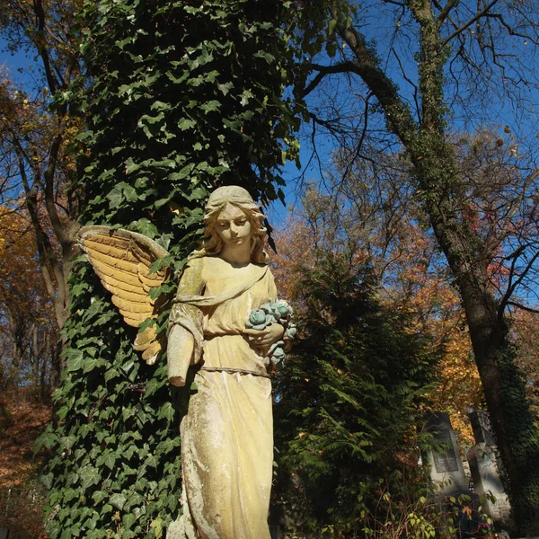 Vista Majestosa Estátua Anjo Dourado Iluminado Pela Luz Solar Contra — Fotografia de Stock