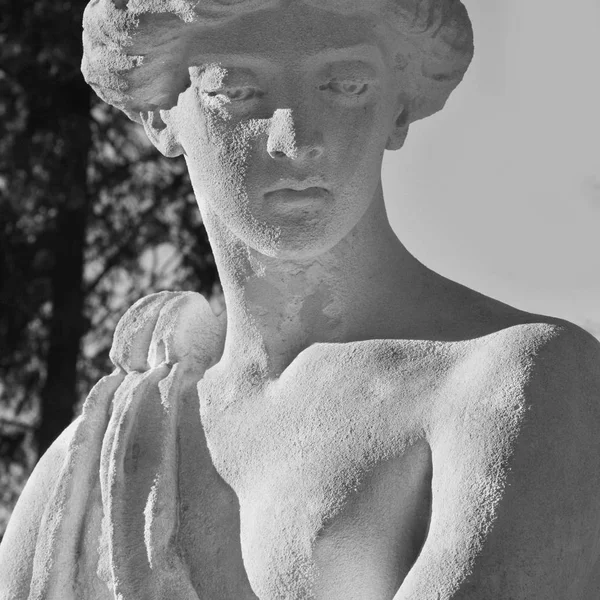 在希腊神话中 阿芙罗狄蒂 在罗马神话中的维纳斯爱的女神 — 图库照片