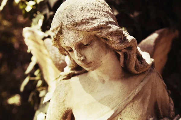 伤心的天使在公墓背景下的树叶 细节的复古形象 — 图库照片