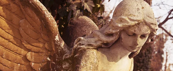 Immagine Vintage Angelo Triste Cimitero Sullo Sfondo Foglie Dettagli — Foto Stock