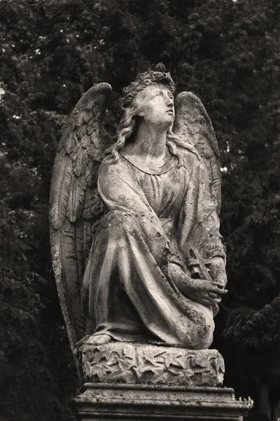 Anjo Como Símbolo Bondade Amor — Fotografia de Stock