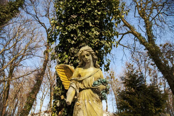 Anjo Luz Sol Estátua Antiga — Fotografia de Stock
