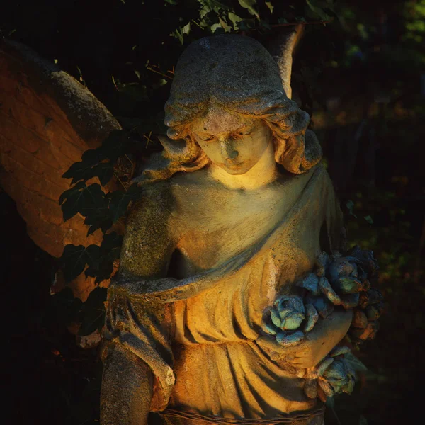 Ange Dans Lumière Soleil Statue Antique — Photo