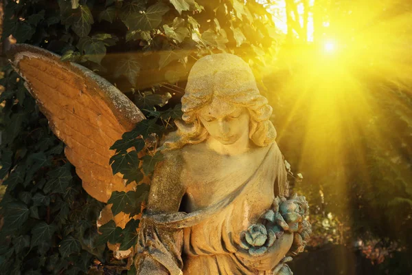 Золотой ангел в солнечном свете (античная статуя ) — стоковое фото