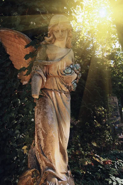 Ангел с крыльями — стоковое фото