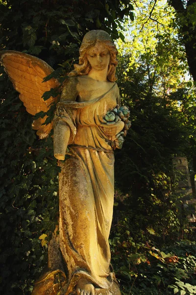 Ángel con alas — Foto de Stock