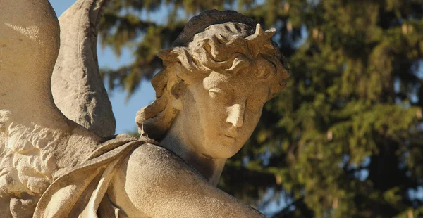 Ангел Солнечном Свете Античная Статуя Украина Львов Лычаковские Кладбища — стоковое фото
