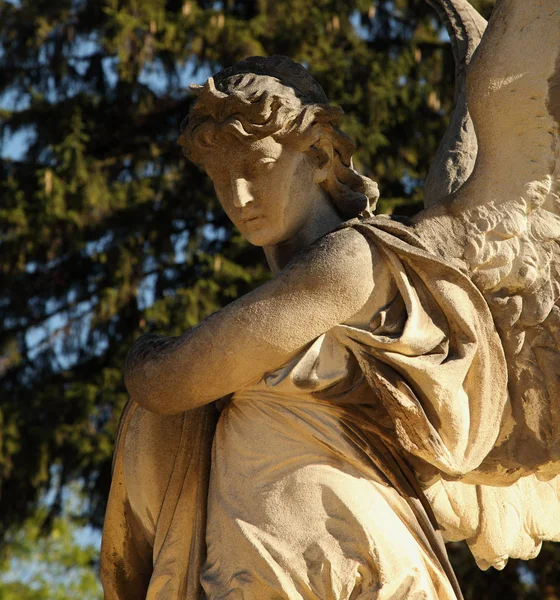 伤心的天使在公墓背景下的树叶 细节的复古形象 — 图库照片