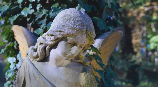 ビンテージ葉 詳細の背景に墓地の悲しい天使像 — ストック写真