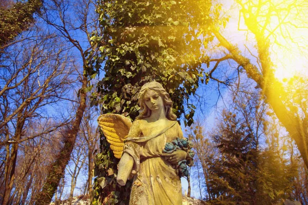 Bel Ange Lumière Soleil Statue Antique — Photo