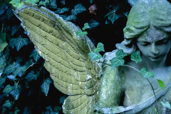 Hermosa Estatua Piedra Ángel Con Una Expresión Dulce Que Mira —  Fotos de Stock