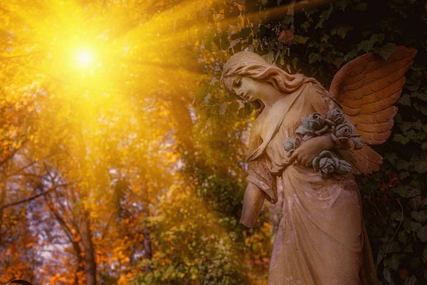 Antique statue of wonderful angel in the rays of the sun. Architecture, archetype, religion, faith concept.