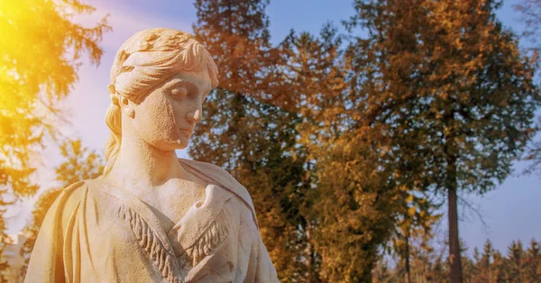 Yunan mitolojisindeki aşk tanrıçası Afrodit (Romanlardaki Venüs)