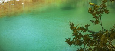 Sabahın ilk ışıklarıyla manzara. C 'nin arka planında bir ağaç