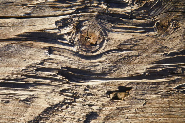 Παλιά πλούσια υφή ξύλου φόντο με κόμπους. Ελεύθερος χώρος για gesi — Φωτογραφία Αρχείου