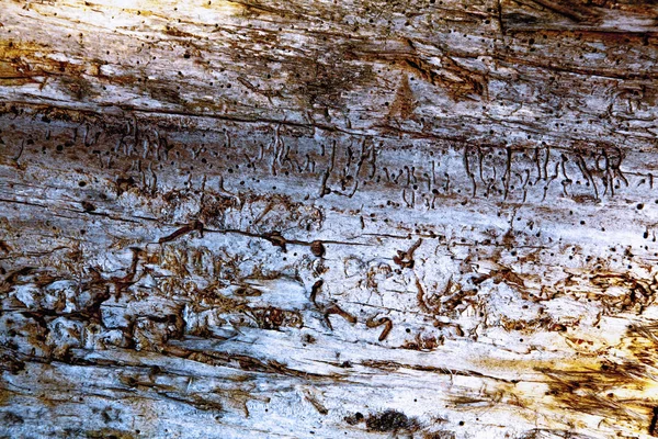 Alte schöne reiche braune Holz Textur Hintergrund — Stockfoto