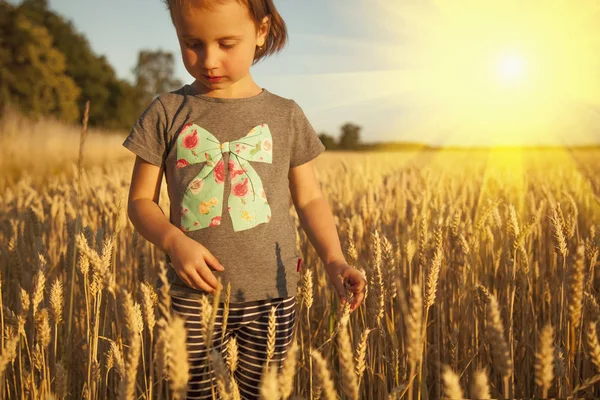 Buğday tarlasında güneşte yürüyen tatlı küçük kız çocuğu. — Stok fotoğraf