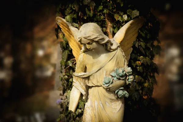 Antiek standbeeld van een prachtige engel in de stralen van de zon op de hemel — Stockfoto