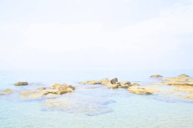 Deniz dalgasının güzel bir görüntüsü. Yakından, alçak açılı, güneşli.