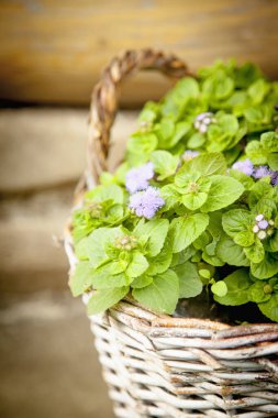 Bir buket yabani çiçekle dolu bir sepet..