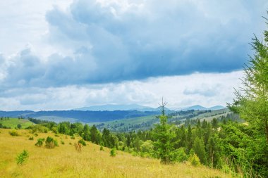 Dramatik bir sahne. Yeri Karpatlar Dağları, Ukrayna, Eu