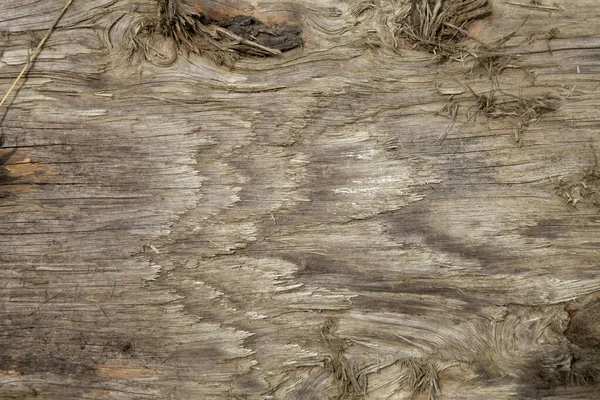 Βρώμικη ξύλινη σανίδα. Υφή ξύλου, φόντο μοτίβο. — Φωτογραφία Αρχείου