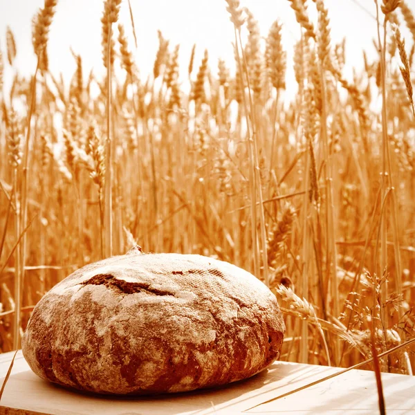 Закройте свежий хлеб и пшеницу. Промышленность, продовольствие и сельское хозяйство — стоковое фото