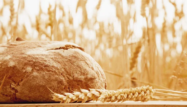 Vers brood en tarwe. Industrie, voeding, landbouw Sel — Stockfoto