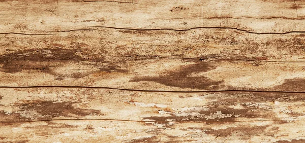 다채롭고 풍부 한 오래 된 목재 질감 과 Desi 의 패턴 배경 — 스톡 사진