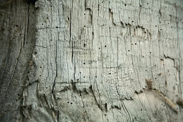 Vieille texture de bois riche et fond pour le design — Photo