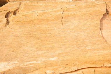 Tasarım için doğal arka plan olarak güzel doğal ahşap doku kullanımı