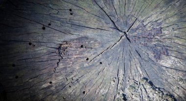 Tasarım için eski kırık ahşap dokuyu kapat. Tasarımcı için boş alan.