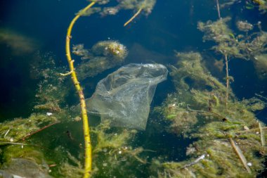 Denizdeki plastik atık kirliliği (doğa ve çevre kavramı)