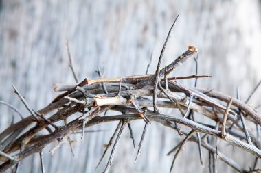Ölüm ve İsa 'nın dirilişinin sembolü olarak dikenli tacı kapat. Yatay resim.