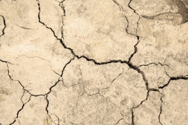 Toprak arka planındaki grunge dokusunu çatlatıyor. Tasarım için soyut kirli resim.