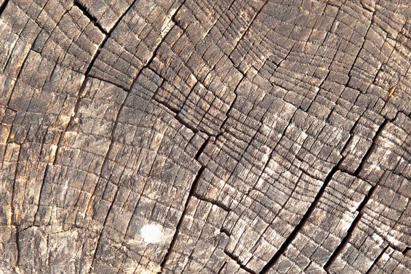 Schließen Sie Alte Schöne Reiche Holz Textur Hintergrund Mit Rissen — Stockfoto